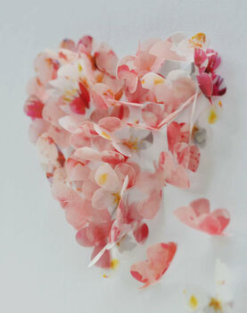 Blossom Coloured 3D Framed Butterfly Heart, 3 of 6