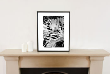 Autumn Crocus #One, Black And White, Art Print, 2 of 7