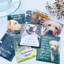 Labrador Lovers Tea Gift Set, thumbnail 11 of 12