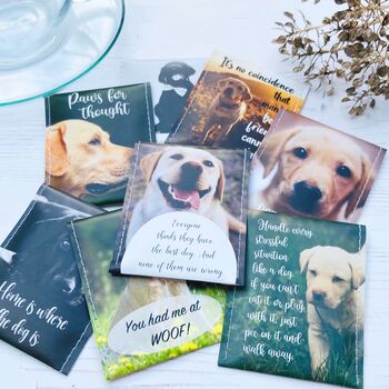 Labrador Lovers Tea Gift Set, 11 of 12