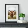 Highland Cow Photography Print One, thumbnail 1 of 2