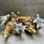 Set Of Three Swimming Turtles On Driftwood – Handmade Gift, thumbnail 4 of 11