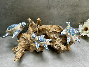 Set Of Three Swimming Turtles On Driftwood – Handmade Gift, 4 of 11