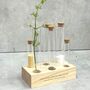 Personalised Herb And Spice Test Tube Rack, thumbnail 1 of 7