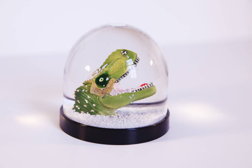 Snow Globe Dinosaur, 1 of 12