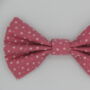 Pink Star Dog Bow Tie, thumbnail 3 of 6