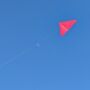 Personalised Delta Kite From Morgan Kites, thumbnail 8 of 8