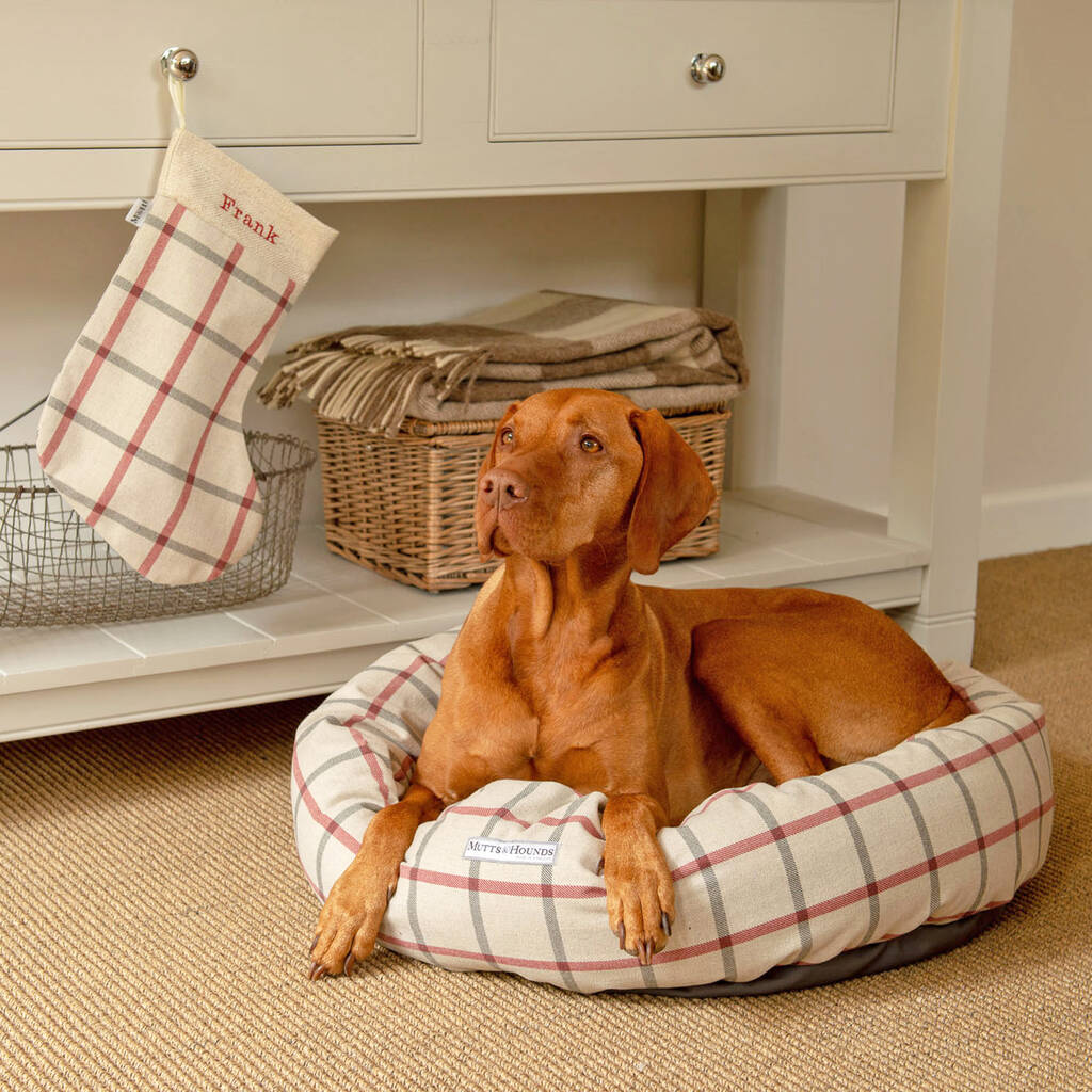 Nottingham Checked Brushed Cotton Dog Beds By Mutts & Hounds ...