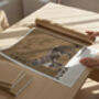 Puma | Big Cat Art Print, thumbnail 5 of 9