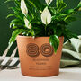 Personalised 80th Birthday Gift Terracotta Plant Pot, thumbnail 4 of 4