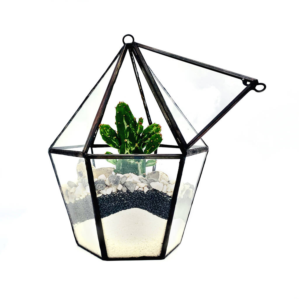 Diy Cactus Lantern By The Urban Botanist | notonthehighstreet.com