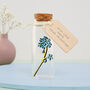 Forget Me Not Message Bottle Valentine's Gift, thumbnail 1 of 4