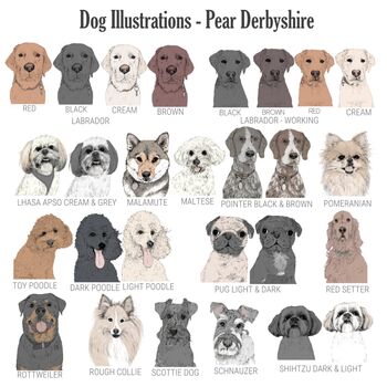 Personalised Illustrated Dog Cushion, 5 of 8