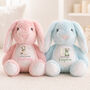 Personalised Sibling Bunny Animal Initial Gift, thumbnail 1 of 4