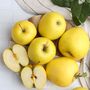 Fruit Trees Apple 'Golden Delicious' One X 10 L Pot, thumbnail 2 of 5