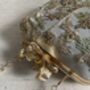 Gold Embroidered Square Handcrafted Clutch Bag, thumbnail 10 of 10