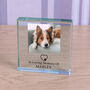 Personalised Dog Memorial Glass Token, thumbnail 1 of 2