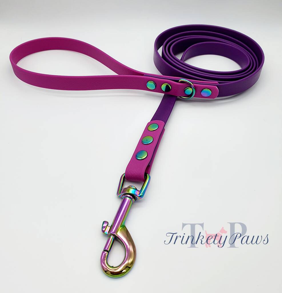 Dual Coloured Biothane® Waterproof Dog Leash By Trinkety Paws