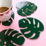 Cheese Plant Leaf Perspex Coasters, thumbnail 1 of 4
