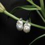 Gleaming Baroque Pearl Silver Earrings, thumbnail 7 of 7