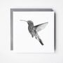 Adhara The Hummingbird Luxury Blank Greeting Card, thumbnail 1 of 4