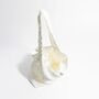 Saint Tropez Ivory Flower Lace Mesh Embellished Bag, thumbnail 2 of 3