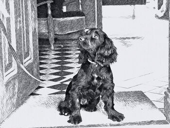 Vintage Style Crosshatch Illustration Of Your Pet, 6 of 7