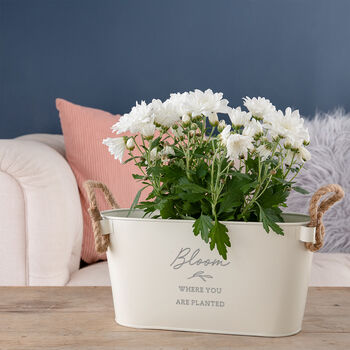 Engraved 'Bloom Where You Are Planted' Planter, 2 of 3