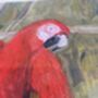 Original Parrot Painting In Frame, thumbnail 3 of 3