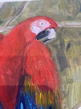 Original Parrot Painting In Frame, 3 of 3