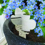 Paw Print Memorial Garden Planter And Forget Me Not Seeds, thumbnail 1 of 5