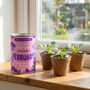 Personalised February Grow Your Own Flower Gift, thumbnail 3 of 4