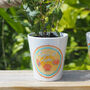 'Shells And Sunshine' Personalised Couple's Plant Pot, thumbnail 1 of 3