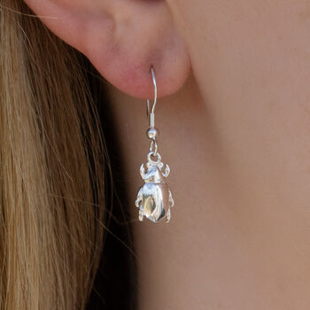 Chafer Beetle Earrings Sterling Silver, 3 of 6