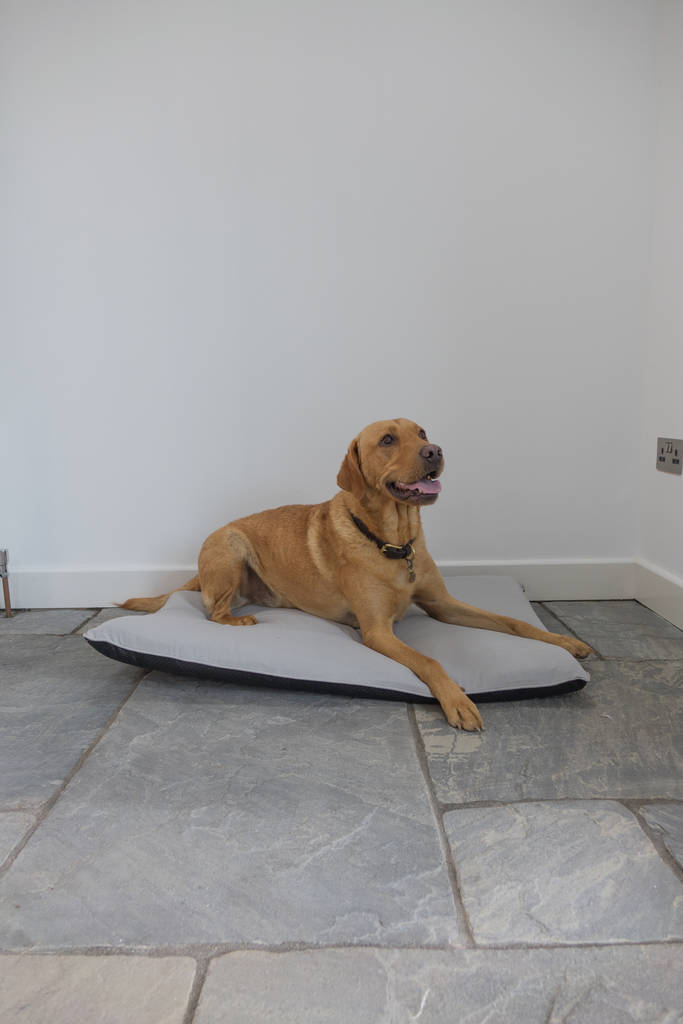 Grey Mattress Dog Bed Xl By Cottage in the Hills
