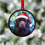 Newfoundland In Santa Hat Suncatcher Decoration, thumbnail 3 of 6