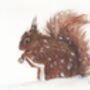 Set Of Five Wildlife Cards Blank Notecards, thumbnail 4 of 5