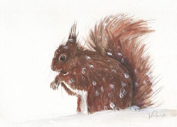 Set Of Five Wildlife Cards Blank Notecards, 4 of 5