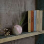 Bird Air Plant Holder In Pale Pink, thumbnail 3 of 12