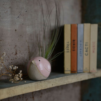 Bird Air Plant Holder In Pale Pink, 3 of 12