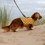 Reversible Organic Cotton Dog Harness Mustard Star Prnt, thumbnail 5 of 6
