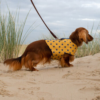 Reversible Organic Cotton Dog Harness Mustard Star Prnt, 5 of 6