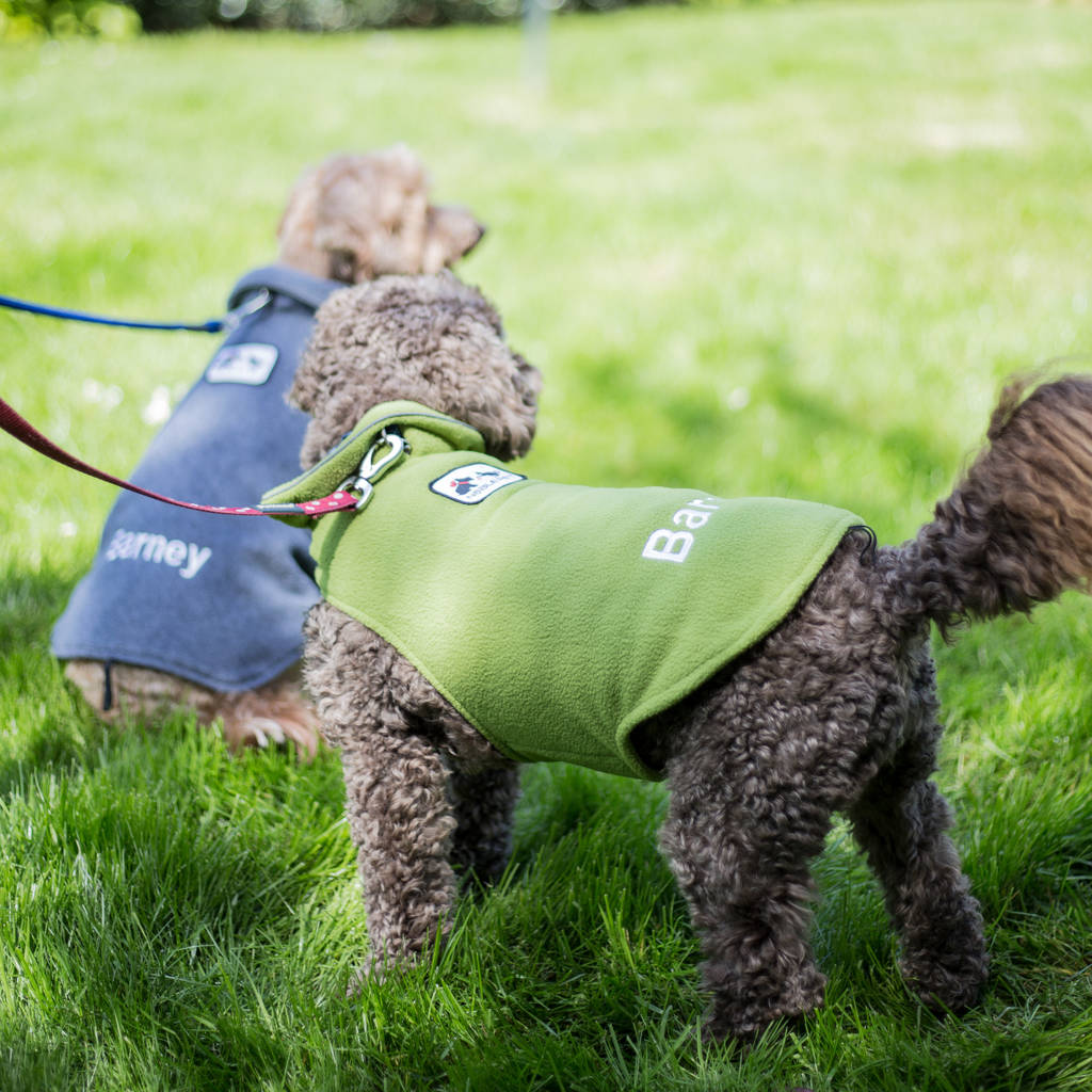 personalised dog vest by duncan stewart