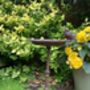 Freestanding Cast Iron Bird Bath – Metal Garden Feature, thumbnail 3 of 10