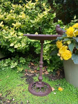 Freestanding Cast Iron Bird Bath – Metal Garden Feature, 3 of 10