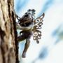 Fairy Garden Ornament Pixie Tree Hugger Wall Mounted, thumbnail 6 of 8