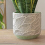 Terracotta 'Leaf' Planters And Vase, thumbnail 3 of 7