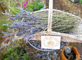 Willow Flower Trug Grey, 2 of 7