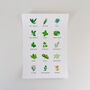 Sheet Of 15 Illustrated Colour Herb Labels, thumbnail 4 of 8