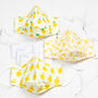 Set Of Three Fruit Pattern Face Masks With Filters, thumbnail 4 of 10